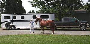 EquiSpirit Safeload is the best designed, the best made, and the best hauling trailer I have ever owned