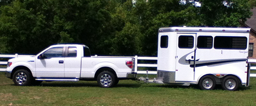 2 Horse Standard Horse Trailer in Tow