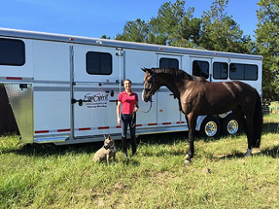 Three Horse trailer side view